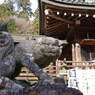 狛犬_筑波山神社