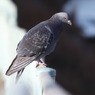 思いつめて・・・・・