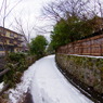 湯布院街角スナップ03