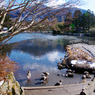 湯布院街角スナップ12