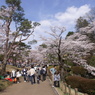 八幡山公園１