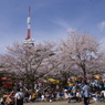 八幡山公園２