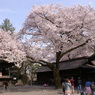 二荒山神社境内