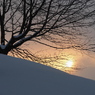 雪に暮れる