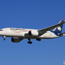  「青が好き」AEROMEXICO 787-8 N966AM  Landing　