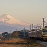 目覚めの霊峰といずっぱこ