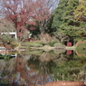 紅葉の神代植物公園の池