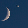JAL 092A7724-2-1