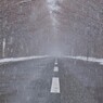 マキノメタセコイア並木道雪景　8