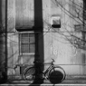 「自転車通勤継続中」 (digital)