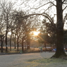 公園の朝陽