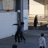Shoot!