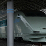 何奴。