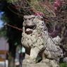 狛犬_新井天神北野神社