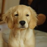 お部屋でまったりと４