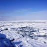 流氷