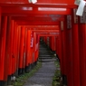 鎌倉佐助稲荷神社参道