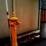 ある日の午後