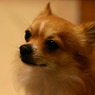 まろんです(･ω･)b14