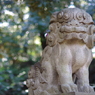 狛犬_赤坂氷川神社