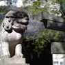 狛犬_赤坂氷川神社