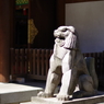 狛犬_乃木神社