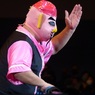 ドロップキックはやめてくれ