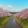 日本の春