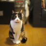 おすわり！！！