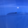「青い空」（６３２）雲の上で初めてのお月見しました！
