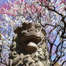 狛犬_新井天神北野神社