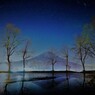 Purple night
