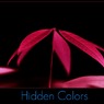 Hidden Colors