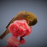 もう離さない