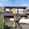 塀の上からヘイ～～