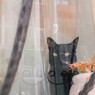 窓辺の黒猫～