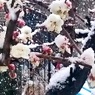 梅花に雪の年もありました