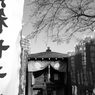 願う