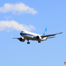 ☀「あおぞら」中国南方 A330-300 B-5959 Landing