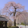 晴れ