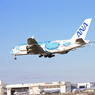 「群青色」ANA Flying Honu A380-841 JA381A 着陸