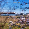 ２００系流し Ⅰ