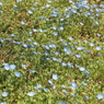 P3230002