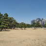 P3230131