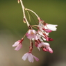 P3230202