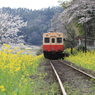 秘境駅の春