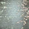 spring for tokyoites 2021