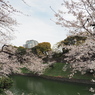 千鳥ヶ淵周辺散策その１５