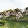 千鳥ヶ淵周辺散策その１９