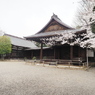 千鳥ヶ淵周辺散策その２０